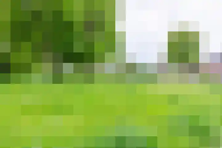 Boekweitdreef 114 Doetinchem thumbnail 46