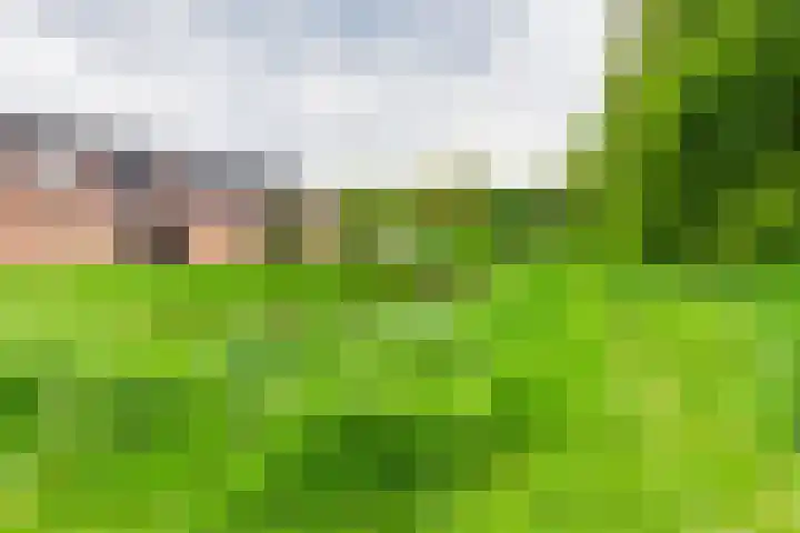 Boekweitdreef 114 Doetinchem thumbnail 47
