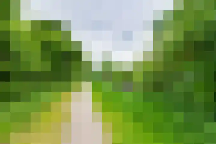 Boekweitdreef 114 Doetinchem thumbnail 48