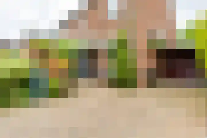 Boekweitdreef 114 Doetinchem thumbnail 5