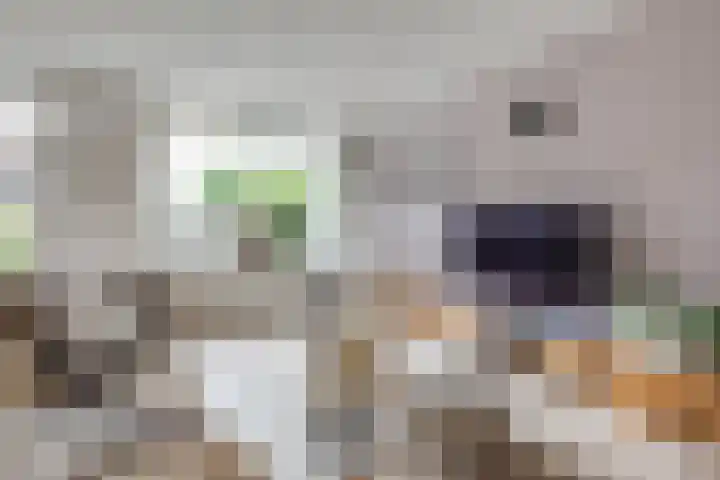 Boekweitdreef 114 Doetinchem thumbnail 8