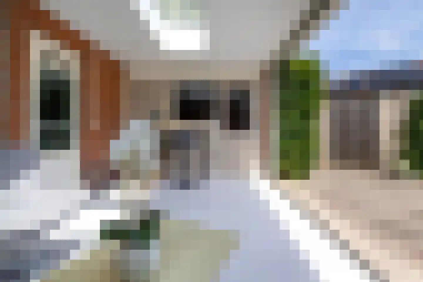 Boekweitdreef 141 Doetinchem thumbnail 16