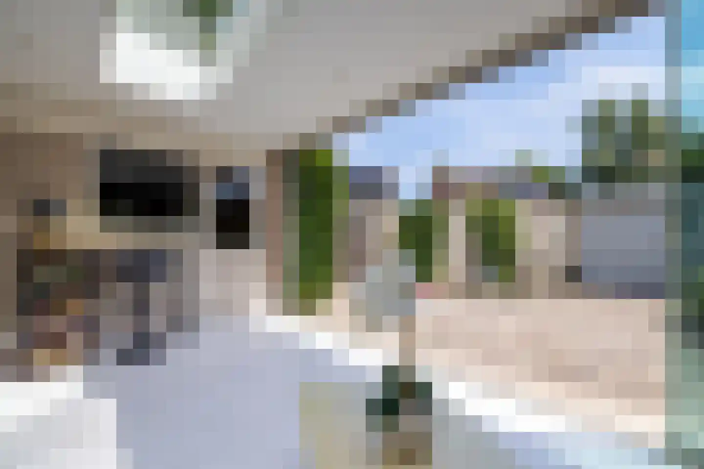 Boekweitdreef 141 Doetinchem thumbnail 18