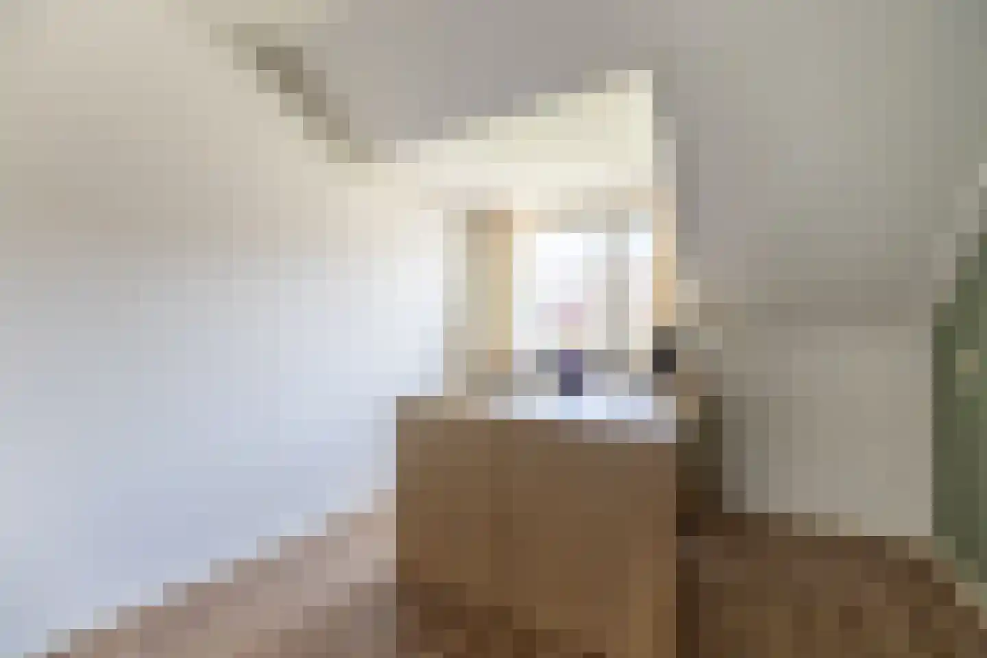 Boekweitdreef 141 Doetinchem thumbnail 32