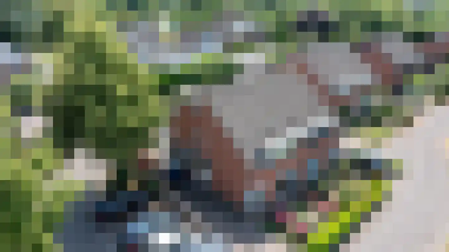 Boekweitdreef 141 Doetinchem thumbnail 49