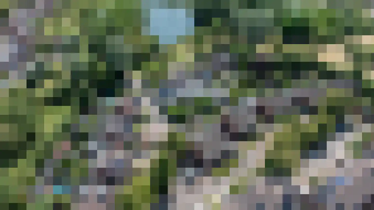 Boekweitdreef 141 Doetinchem thumbnail 50