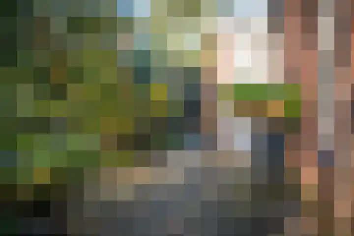 Boekweitdreef 15 Doetinchem thumbnail 11