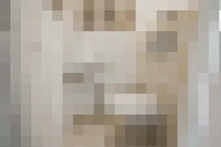 Boekweitdreef 15 Doetinchem thumbnail 15