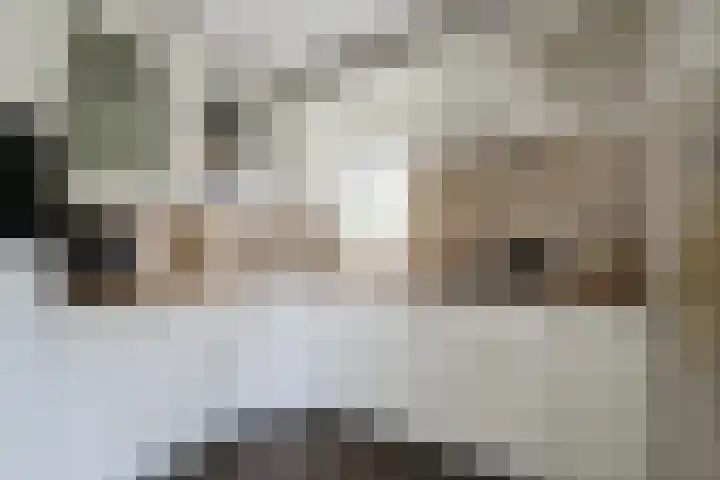 Boekweitdreef 15 Doetinchem thumbnail 25