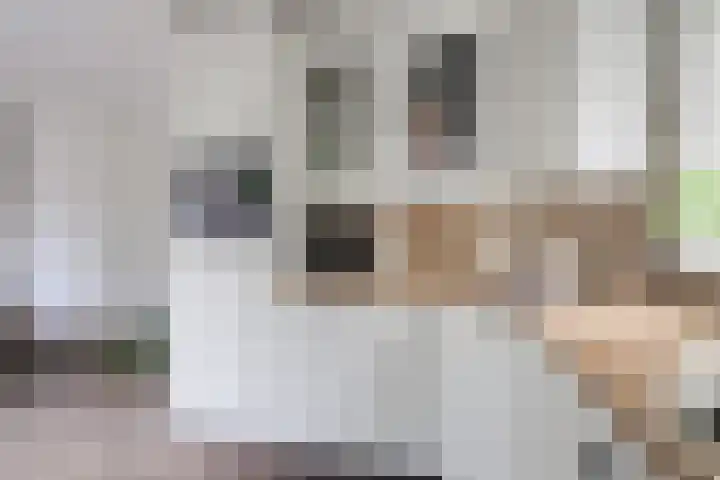 Boekweitdreef 15 Doetinchem thumbnail 28