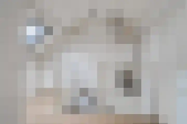 Boekweitdreef 15 Doetinchem thumbnail 44