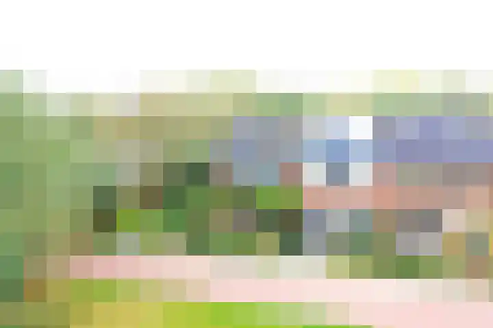 Boekweitdreef 15 Doetinchem thumbnail 5