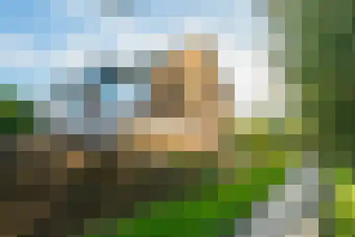 Boekweitdreef 15 Doetinchem thumbnail 59