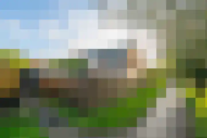 Boekweitdreef 15 Doetinchem thumbnail 60