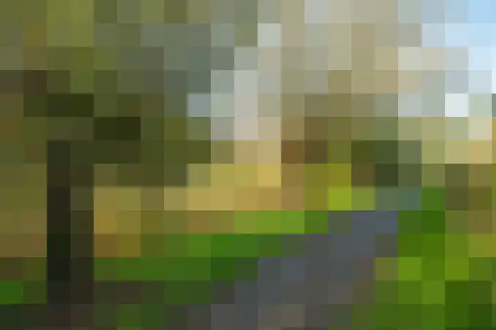 Boekweitdreef 15 Doetinchem thumbnail 61