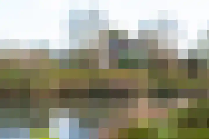 Boekweitdreef 15 Doetinchem thumbnail 62