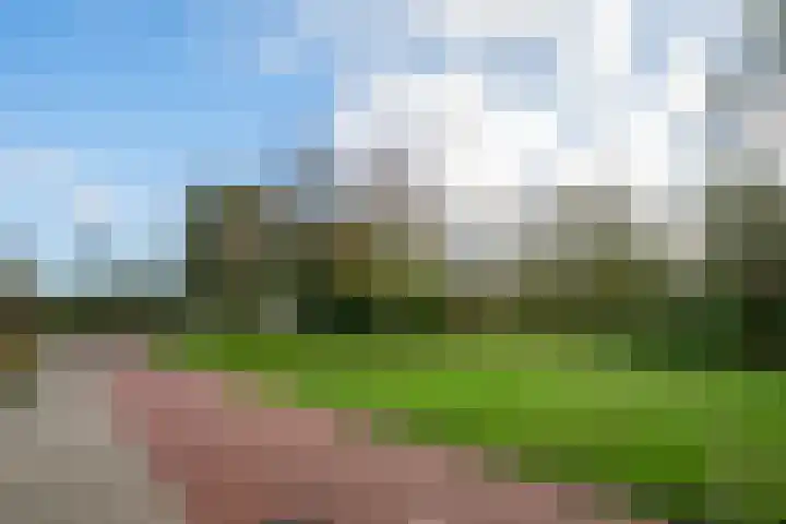 Boekweitdreef 15 Doetinchem thumbnail 63