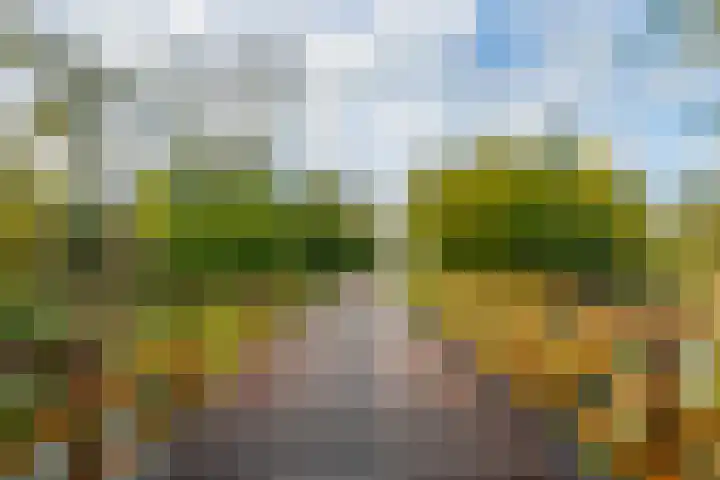 Boekweitdreef 15 Doetinchem thumbnail 64