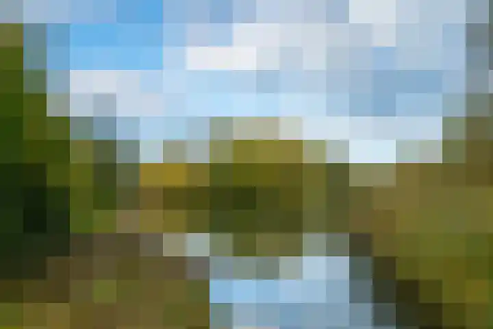 Boekweitdreef 15 Doetinchem thumbnail 65