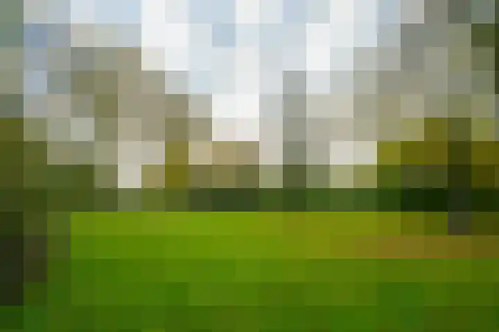 Boekweitdreef 15 Doetinchem thumbnail 66