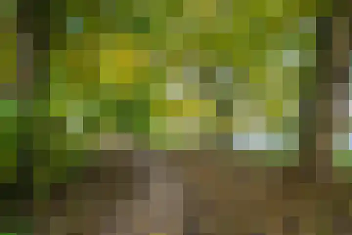 Boekweitdreef 15 Doetinchem thumbnail 68