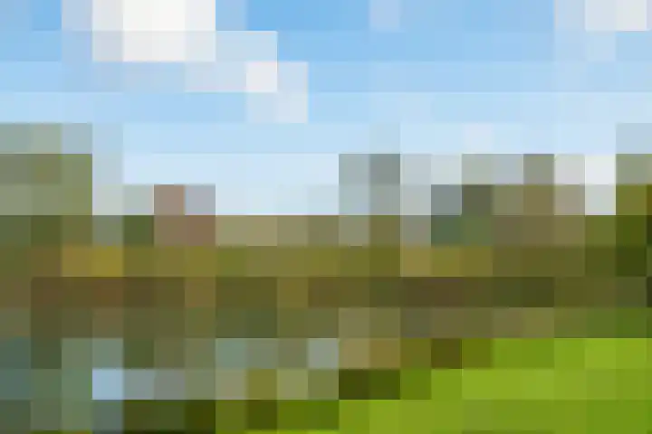 Boekweitdreef 15 Doetinchem thumbnail 70