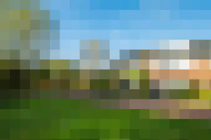 Boekweitdreef 15 Doetinchem thumbnail 9