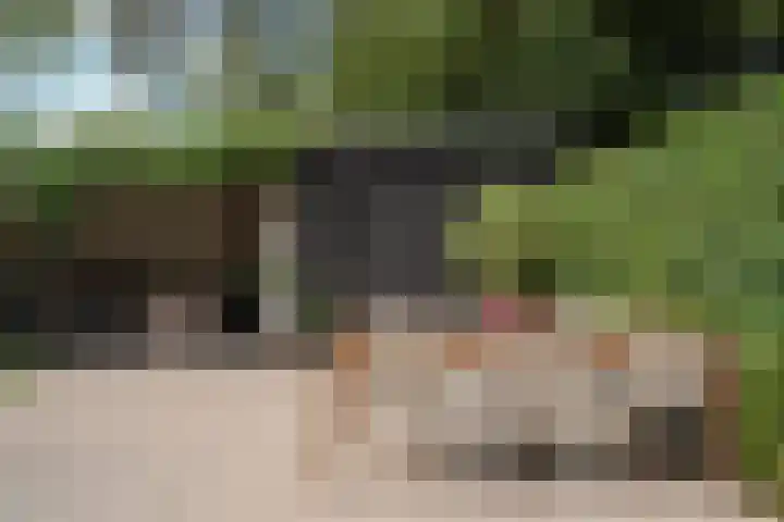 Boekweitdreef 198 Doetinchem thumbnail 18