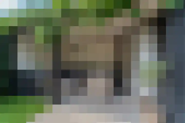 Boekweitdreef 198 Doetinchem thumbnail 19