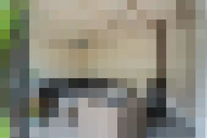 Boekweitdreef 198 Doetinchem thumbnail 20