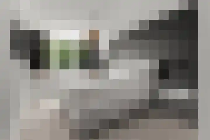 Boekweitdreef 198 Doetinchem thumbnail 26