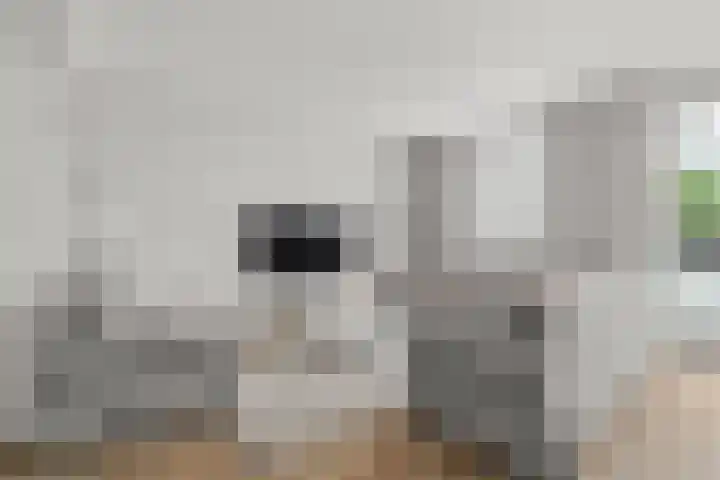 Boekweitdreef 198 Doetinchem thumbnail 4