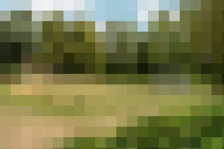 Boekweitdreef 198 Doetinchem thumbnail 44