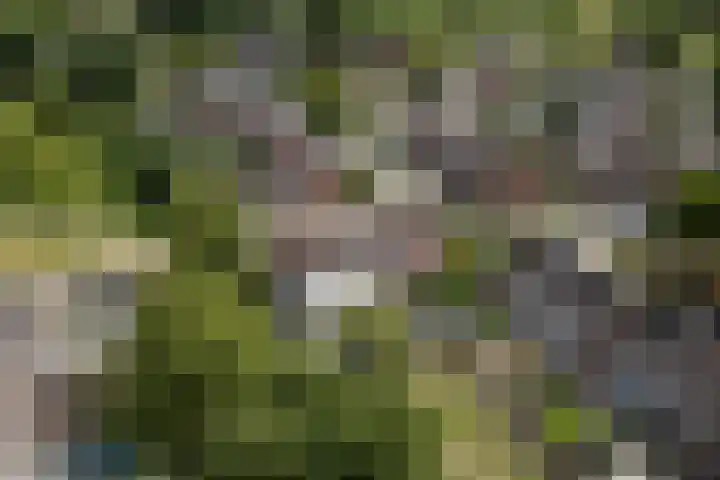 Boekweitdreef 198 Doetinchem thumbnail 48