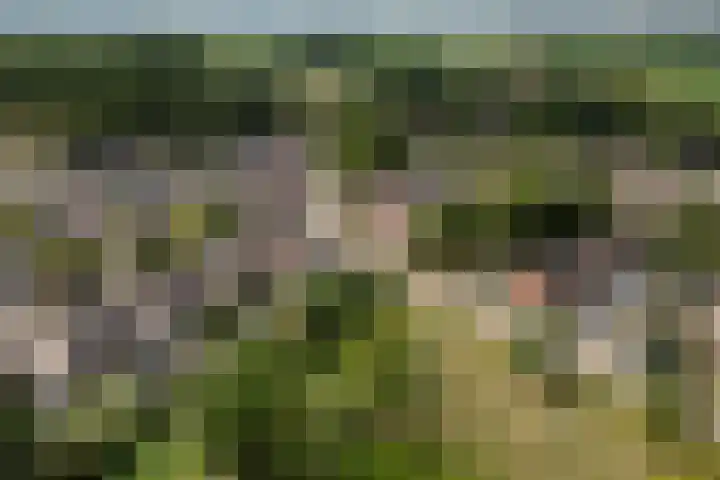 Boekweitdreef 198 Doetinchem thumbnail 49