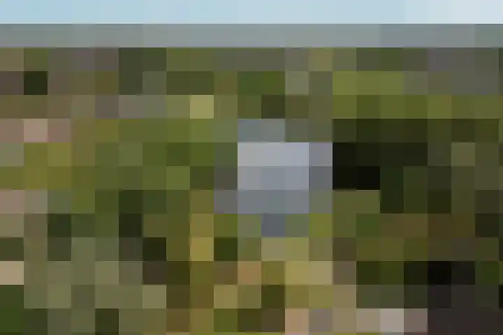 Boekweitdreef 198 Doetinchem thumbnail 50