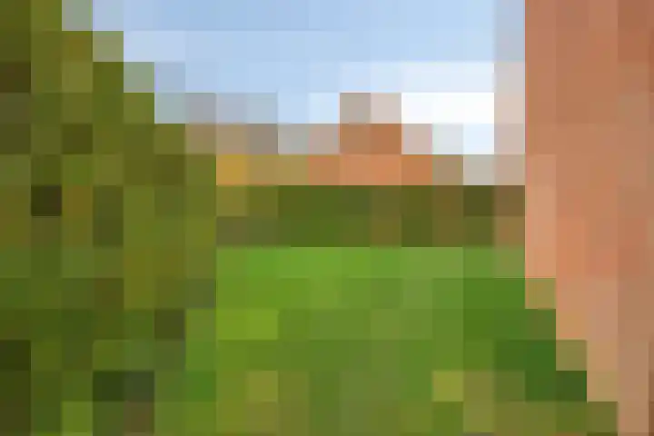 Boekweitdreef 204 Doetinchem thumbnail 32