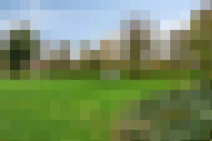 Boekweitdreef 204 Doetinchem thumbnail 34