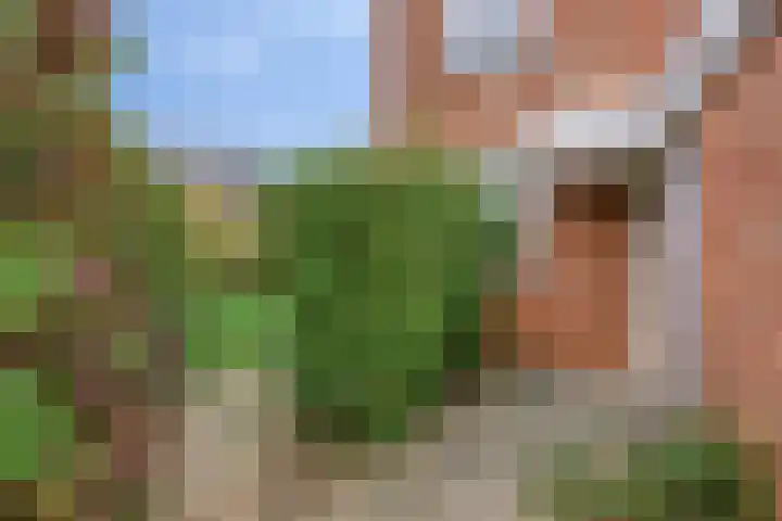 Boekweitdreef 204 Doetinchem thumbnail 6