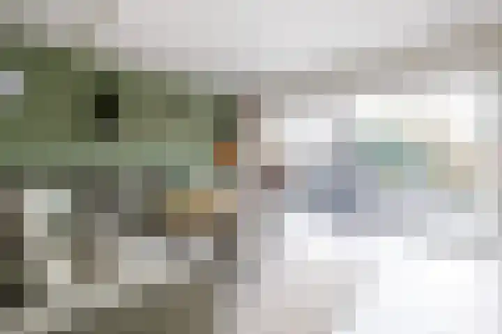 Boekweitdreef 69 Doetinchem thumbnail 10