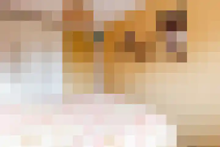 Boekweitdreef 69 Doetinchem thumbnail 21