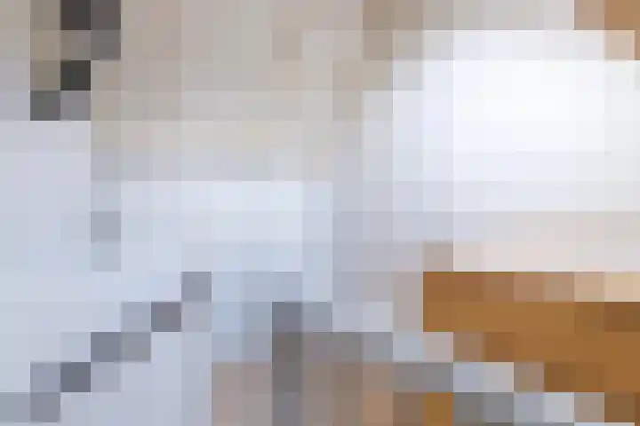 Boekweitdreef 69 Doetinchem thumbnail 29
