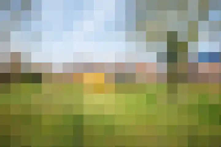Boekweitdreef 69 Doetinchem thumbnail 33
