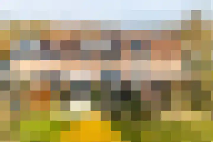 Boekweitdreef 69 Doetinchem thumbnail 34