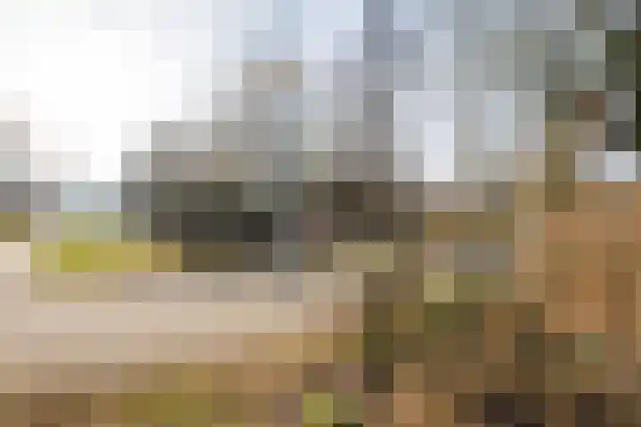 Boekweitdreef 69 Doetinchem thumbnail 37