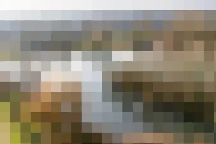 Boekweitdreef 69 Doetinchem thumbnail 38