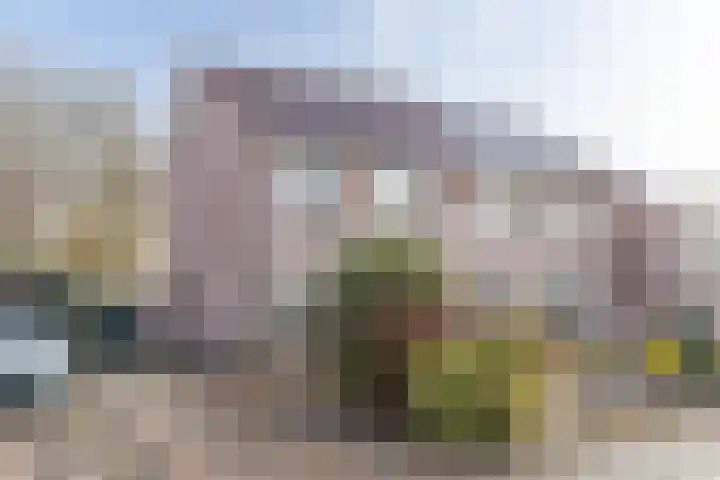 Boekweitkamp 10 Delfzijl foto 2