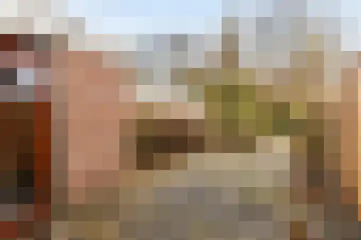 Boekweitkamp 10 Delfzijl thumbnail 30