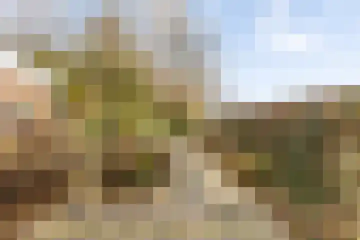 Boekweitkamp 10 Delfzijl thumbnail 32