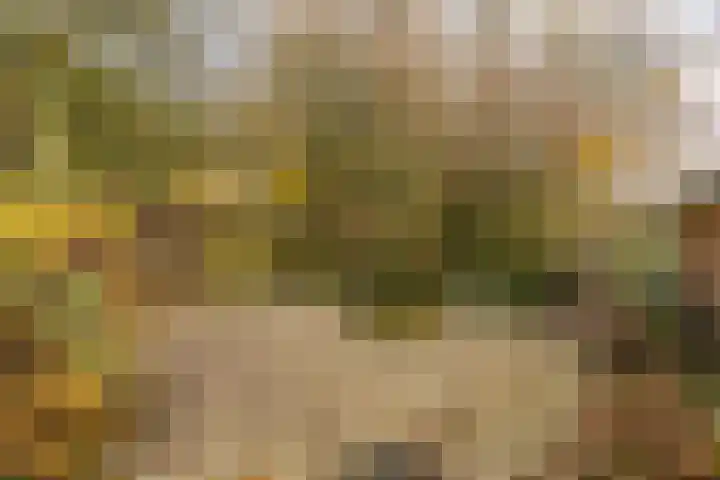 Boekweitkamp 10 Delfzijl thumbnail 33
